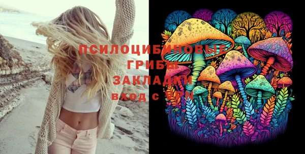 мескалин Медвежьегорск