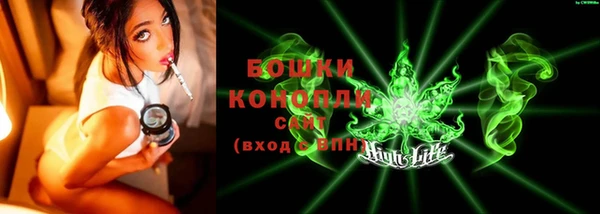 хмурый Медногорск