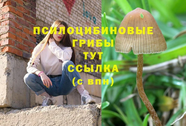 мескалин Медвежьегорск