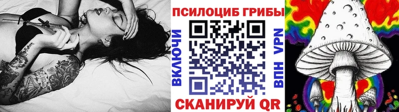 кракен как зайти  Усть-Кут  Псилоцибиновые грибы Psilocybine cubensis 